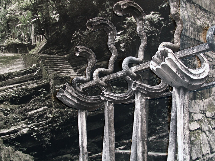 http://xlupeapps.mirunadragan.com/files/gimgs/th-6_IMG_2470_Xilitla_W.jpg