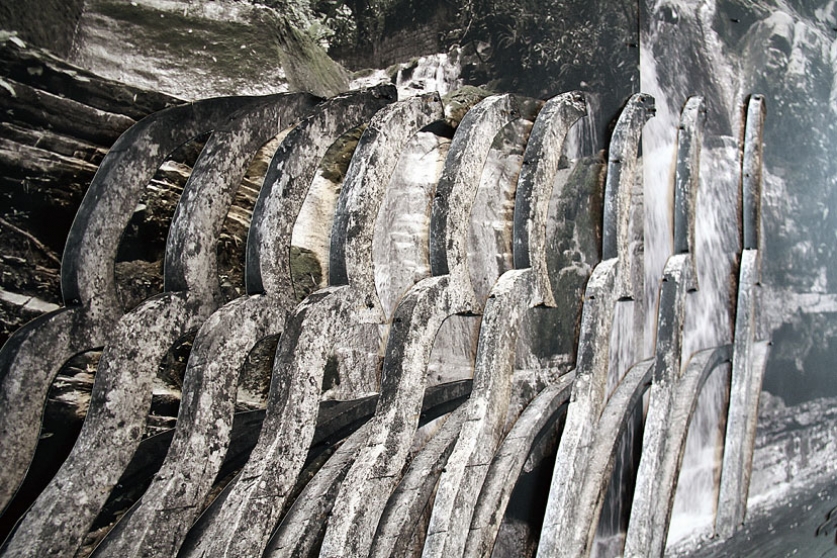 http://xlupeapps.mirunadragan.com/files/gimgs/th-6_IMG_2473_Xilitla_W.jpg